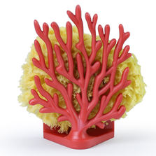 Qualy Держатель для мочалок coral sponge красный