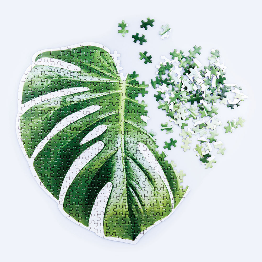 

Doiy Пазл monstera, Зеленый
