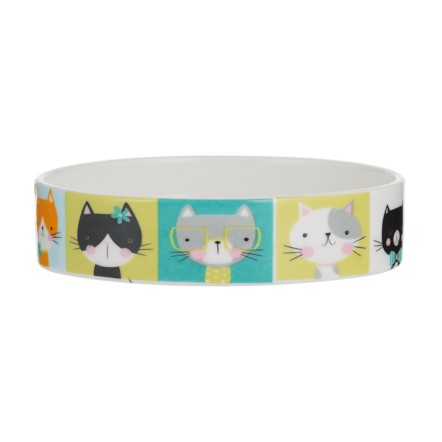 

Mason Cash Миска для кошек pawtrait 250 мл, Разноцветный