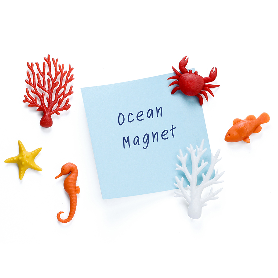 

Qualy Набор из 6 магнитов для холодильника ocean, Мультиколор