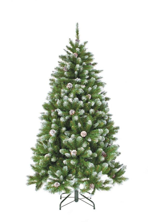 

Triumph Tree Ель Императрица с шишками 215 см заснеженная 73541